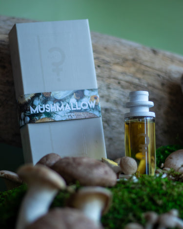 CLST Perfumes Mushmallow Eau de Parfum - Stéle