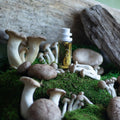CLST Perfumes Mushmallow Eau de Parfum - Stéle