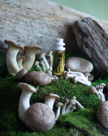 CLST Perfumes Mushmallow Eau de Parfum - Stéle
