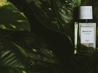 Senyokô Migration de l'Arbre Eau de Parfum - Stéle