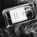 Senyokô La Tsarine Eau de Parfum - Stéle