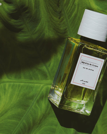 Senyokô Migration de l'Arbre Eau de Parfum - Stéle