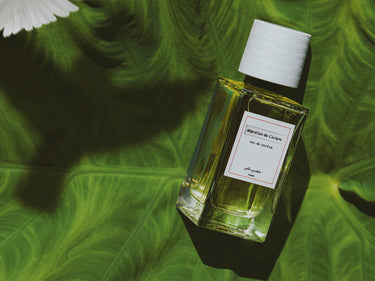 Senyokô Migration de l'Arbre Eau de Parfum - Stéle