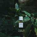 Senyokô Migration de l'Arbre Eau de Parfum - Stéle