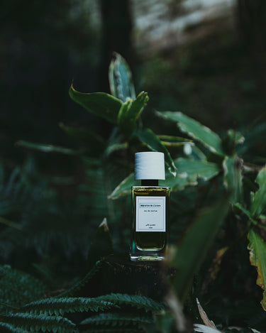 Senyokô Migration de l'Arbre Eau de Parfum - Stéle