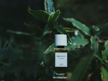 Senyokô Migration de l'Arbre Eau de Parfum - Stéle