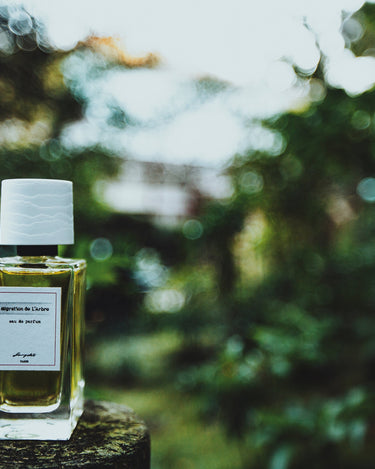 Senyokô Migration de l'Arbre Eau de Parfum - Stéle