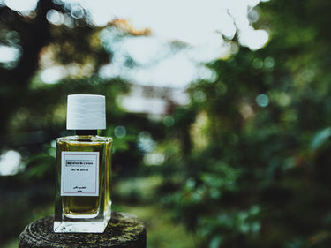 Senyokô Migration de l'Arbre Eau de Parfum - Stéle