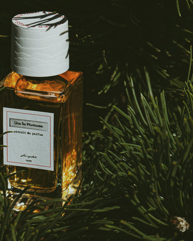 Senyokô Une Île Pluvieuse Extrait de Parfum - Stéle