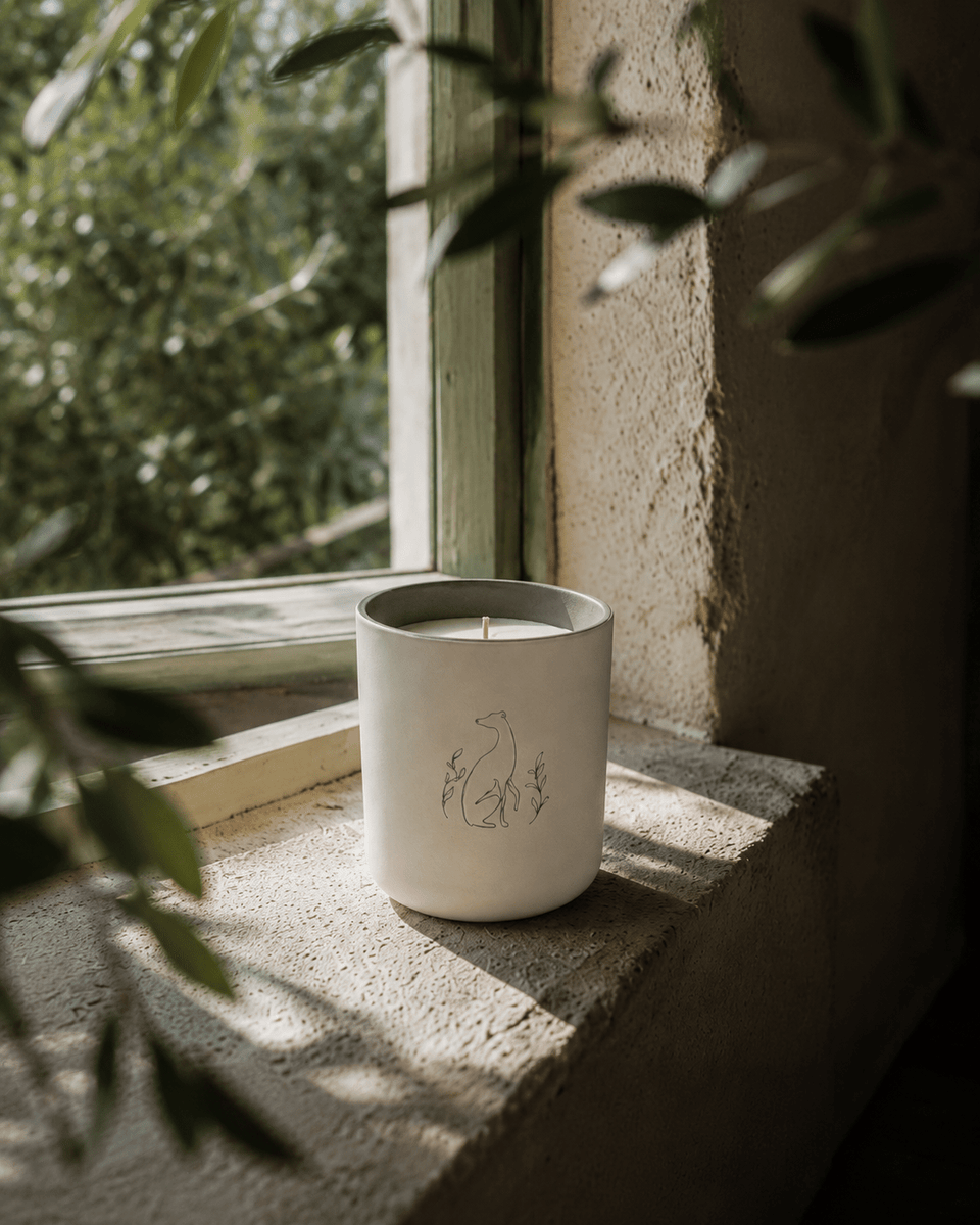 Bougie Poochie Morning Walk Candle - Stéle