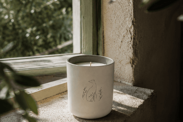 Bougie Poochie Morning Walk Candle - Stéle