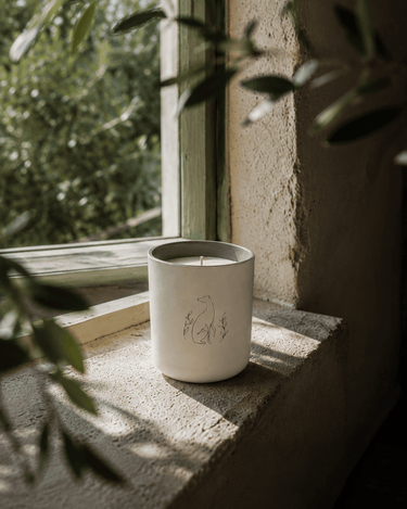 Bougie Poochie Morning Walk Candle - Stéle