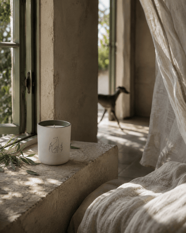 Bougie Poochie Morning Walk Candle - Stéle