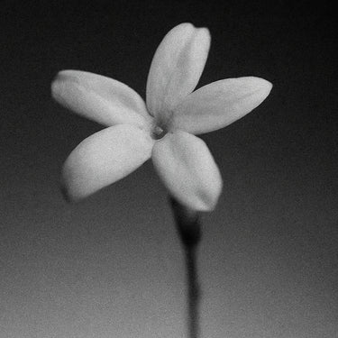 Moco Discovery Set - Stéle