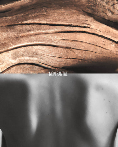 Astrophil & Stella Mon Santal Extrait de Parfum - Stéle