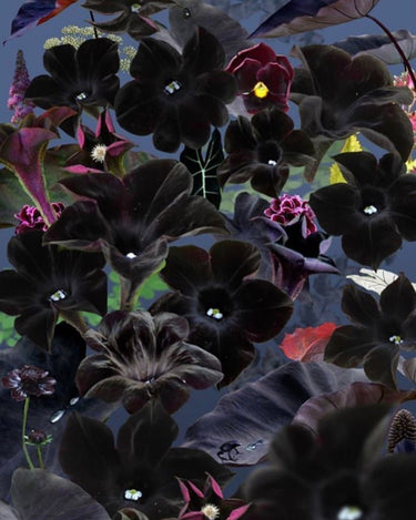 Rite of Way Outer Realm Eau de Parfum - Stéle