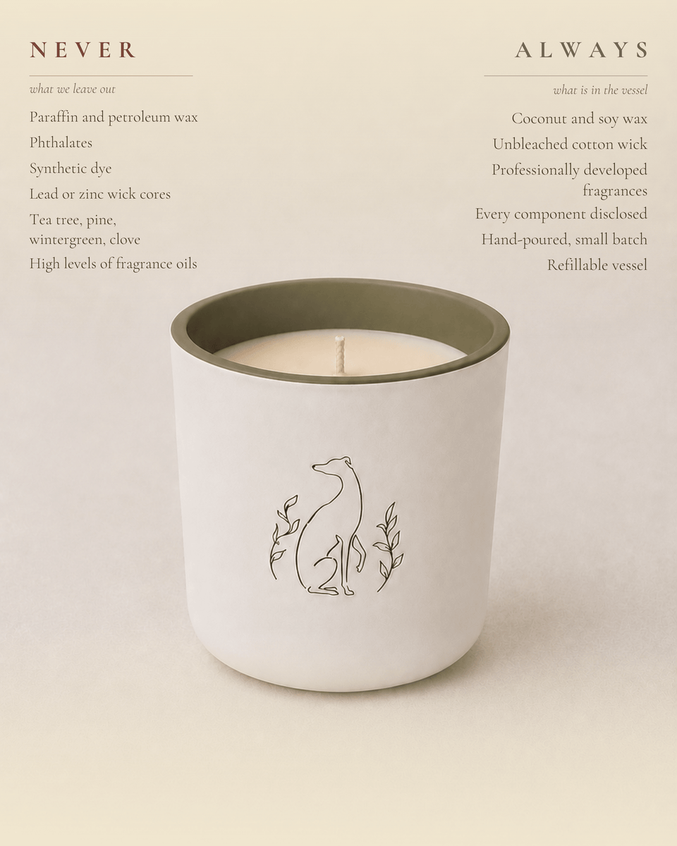 Bougie Poochie Morning Walk Candle - Stéle