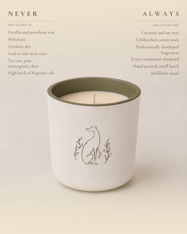 Bougie Poochie Morning Walk Candle - Stéle