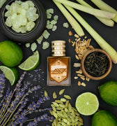 Nebiru Parvms Paladin Extrait de Parfum - Stéle