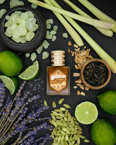 Nebiru Parvms Paladin Extrait de Parfum - Stéle