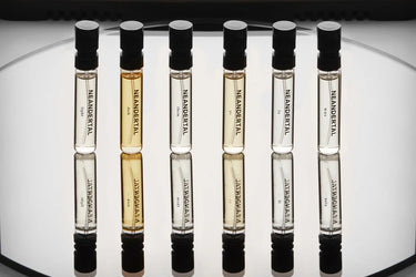 Neandertal Discovery Set