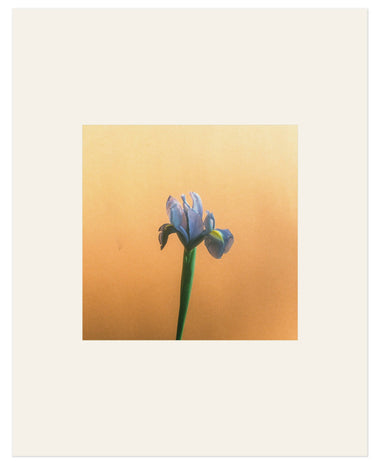 ORMAIE Marque - Page Eau De Parfum - Stéle