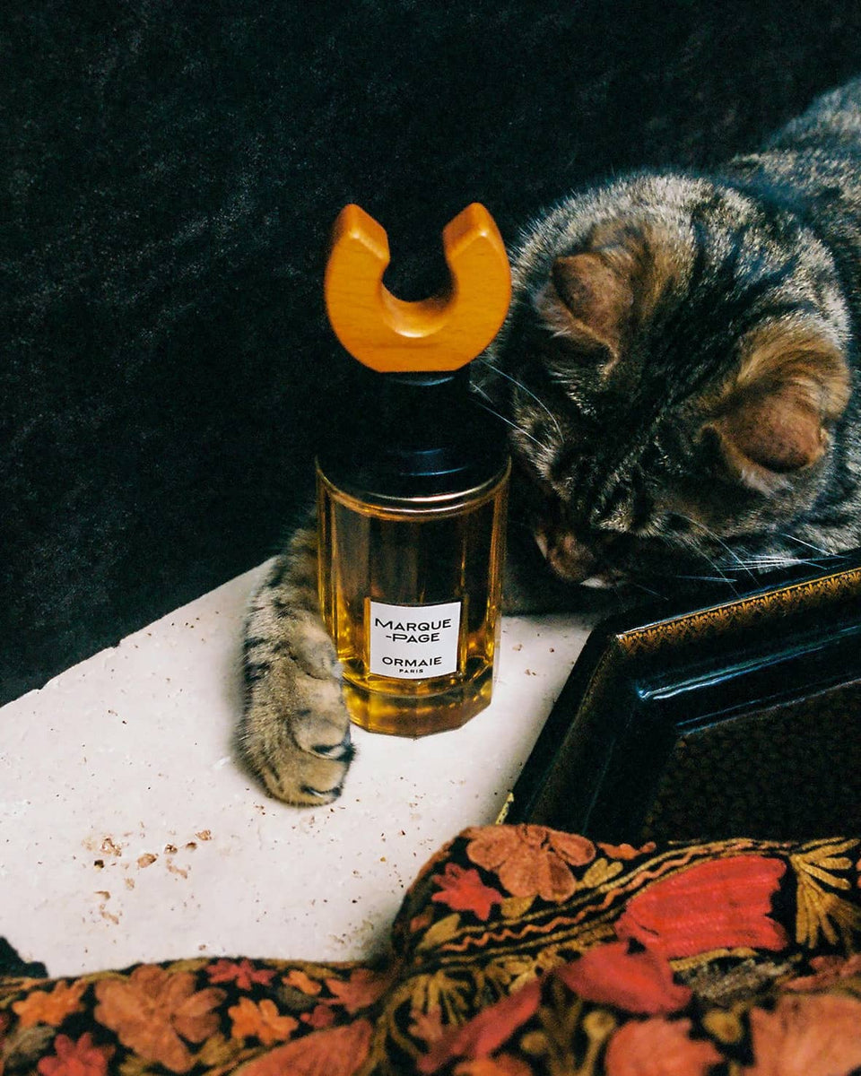 ORMAIE Marque - Page Eau De Parfum - Stéle