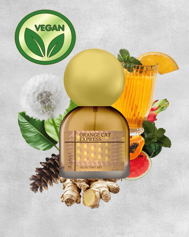 d.grayi Orange Cat Express Eau de Parfum - Stéle