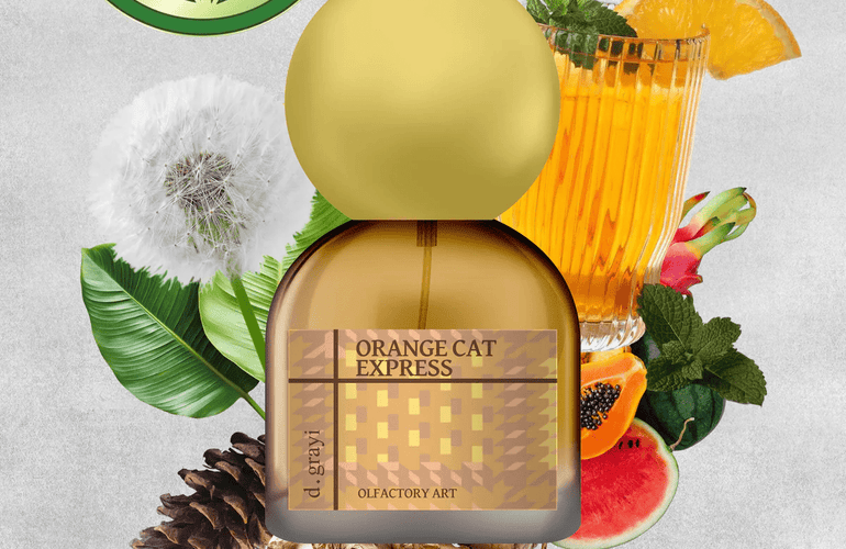 d.grayi Orange Cat Express Eau de Parfum - Stéle