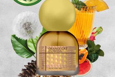 d.grayi Orange Cat Express Eau de Parfum - Stéle
