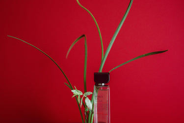 Aromag White Eau De Parfum - Stéle