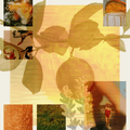Liberation of Flowers Plot Twist Eau de Parfum - Stéle