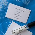 Early Modern Discovery Set - Stéle