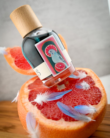 Cirrus Parfums Parakeet Eau de Parfum - Stéle