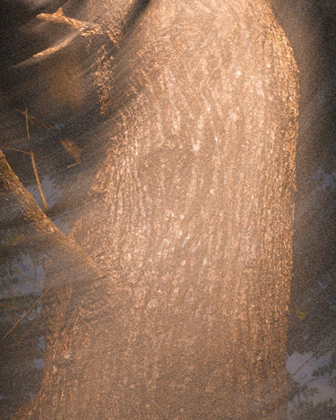 Param Sara Season 001 Discovery Set - Stéle