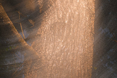 Param Sara Season 001 Discovery Set - Stéle