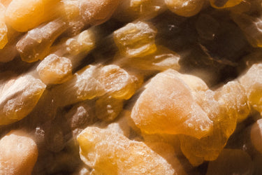 Param Sara Season 001 Discovery Set - Stéle