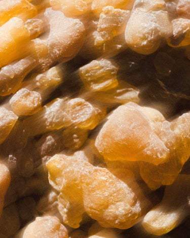 Param Sara Season 001 Discovery Set - Stéle