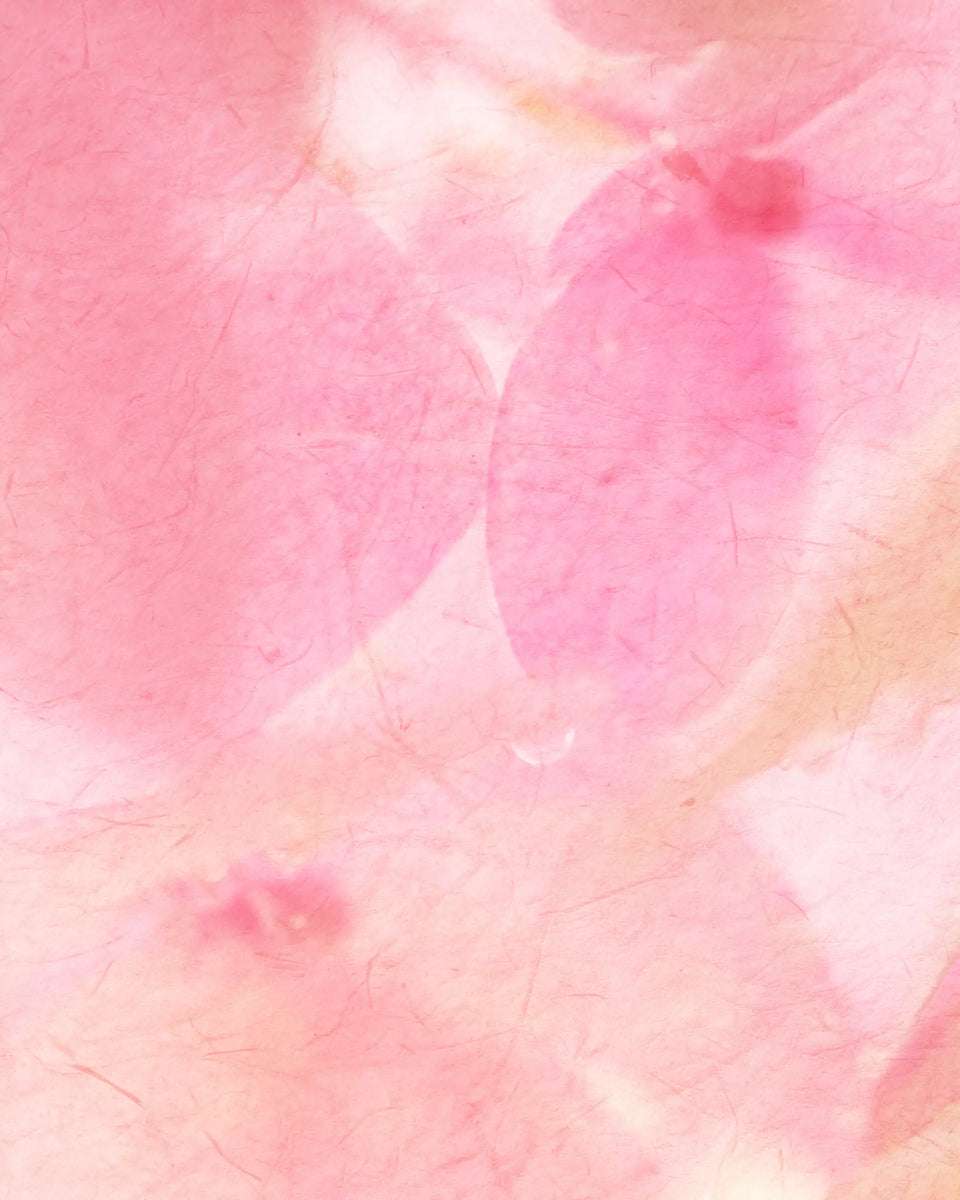 Bu Feng Peach Blossom Spring Eau de Parfum - Stéle