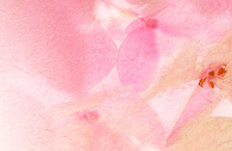 Bu Feng Peach Blossom Spring Eau de Parfum - Stéle