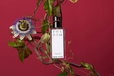 Jorum Studio Phloem Eau de Parfum - Stéle