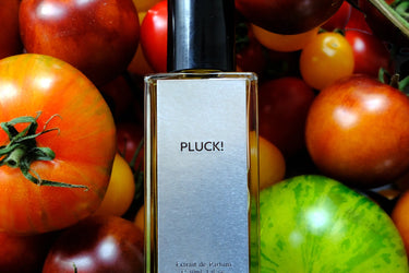 Jorum Studio Pluck! Extrait de Parfum