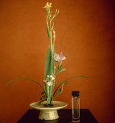 Aromag White Eau De Parfum - Stéle