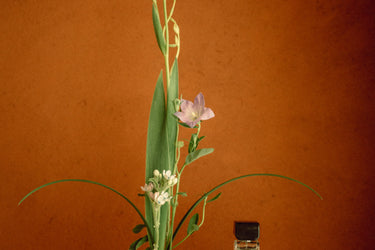 Aromag White Eau De Parfum - Stéle