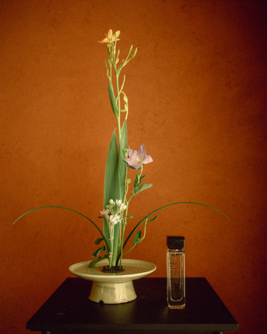 Aromag White Eau De Parfum - Stéle