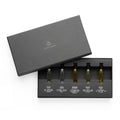 Almost Human First Signal Discovery Set - Stéle