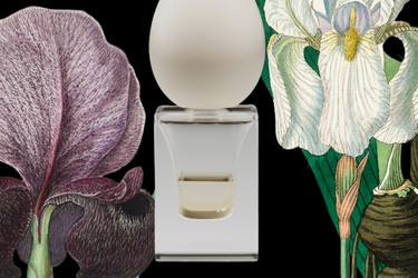 Perfume Who Silex Eau de Parfum