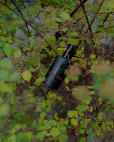 Fischersund No. 101 Eau de Parfum - Stéle