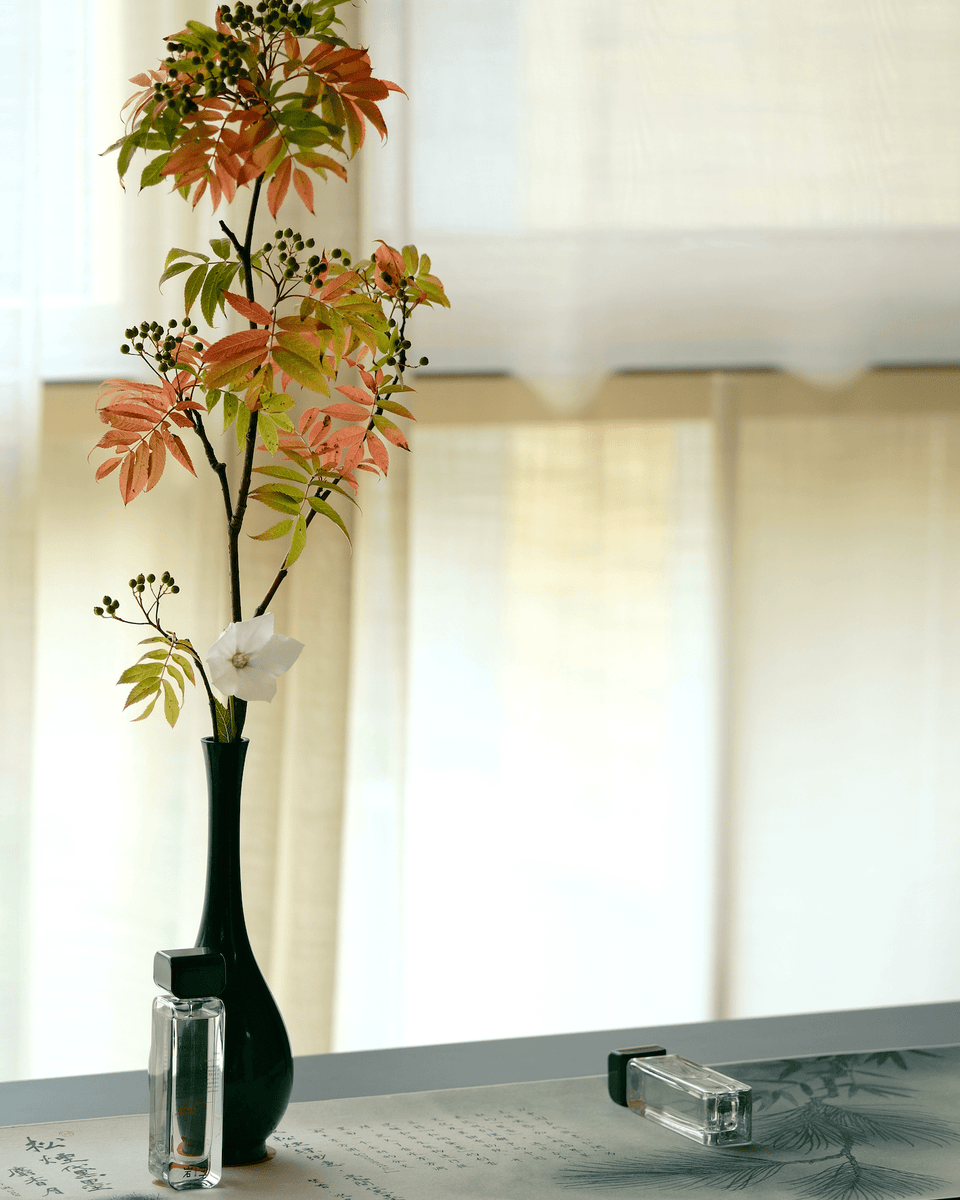 Aromag Discovery Set - Stéle