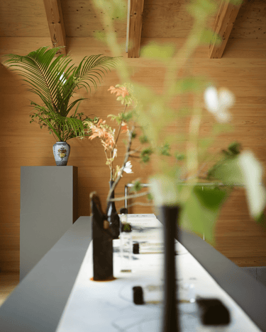 Aromag Discovery Set - Stéle